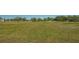 Spacious grassy field with mature trees, offering ample space for various outdoor activities or potential development at 25205 67Th E Ave, Myakka City, FL 34251