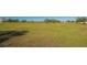 Expansive grassy field with scattered trees and clear blue sky, perfect for equestrian activities or development at 25205 67Th E Ave, Myakka City, FL 34251