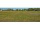 Open pasture with trees and distant structures at 25205 67Th E Ave, Myakka City, FL 34251