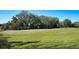 Large grassy lot with mature trees and open space at 17923 Polo Trl, Bradenton, FL 34211