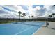 Two well-maintained tennis courts with surrounding fencing at 17923 Polo Trl, Bradenton, FL 34211