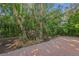Brick pathway winds through a vibrant, tropical landscape with palm trees and various plants at 3614 E 62Nd Ave, Bradenton, FL 34203