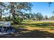Picnic table in a grassy backyard with shade trees at 3632 Shimmering Oaks Dr, Parrish, FL 34219
