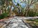 Paved pathway winds through lush tropical landscaping at 520 Bayport Way, Longboat Key, FL 34228