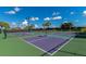 Well-maintained pickleball courts with green and purple surfaces at 6517 Willowshire Way, Bradenton, FL 34212