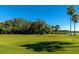 Putting green with palm trees and lake views at 6517 Willowshire Way, Bradenton, FL 34212