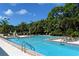 Inviting swimming pool with lounge chairs and lush landscaping at 401 Walls Way, Osprey, FL 34229