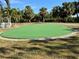 Private putting green surrounded by lush tropical landscaping at 4104 Catalina Dr, Bradenton, FL 34210