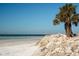 Scenic beach view with palm trees and white sand at 4189 Roberts Point Cir, Sarasota, FL 34242