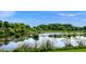 Peaceful wetlands area with lush greenery at 5762 Benevento Dr, Sarasota, FL 34238
