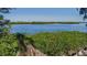 Serene waterfront view with lush foliage at 703 32Nd Street E Ct, Bradenton, FL 34208