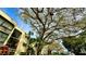 Building exterior with lush landscaping and large tree at 11485 Oakhurst Rd # 200-220, Largo, FL 33774