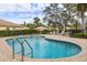 Inviting community pool area featuring brick pavers, seating, and lush landscaping at 9143 Willow Brook Dr, Sarasota, FL 34238