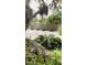 Backyard featuring lush greenery, a weathered privacy fence, and seashell ground cover at 523 Reid St, Sarasota, FL 34242