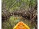 Kayaking through mangrove tunnels, serene waterway at 1305 4Th St # 502A, Sarasota, FL 34236