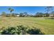 Expansive backyard offers ample space for outdoor activities and enjoys lush green surroundings at 396 Lansbrook Dr, Venice, FL 34292