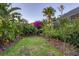 Landscaped backyard with tropical plants and grass at 7041 Beechmont Ter, Lakewood Ranch, FL 34202