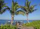 Private dock with palm trees and stunning ocean views at 350 Gulf Of Mexico Dr # 211, Longboat Key, FL 34228