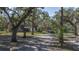 Spacious front yard with mature trees and a long driveway at 6919 64Th E Ave, Palmetto, FL 34221