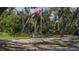 Landscaped yard with trees and an American flag at 6919 64Th E Ave, Palmetto, FL 34221