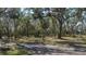 Open wooded area with grassy clearings and a dirt path at 6919 64Th E Ave, Palmetto, FL 34221