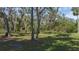 Open wooded area with mature trees and grassy clearings at 6919 64Th E Ave, Palmetto, FL 34221