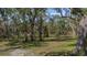 Lush green landscape with mature trees and undergrowth at 6919 Fish Farm Rd, Palmetto, FL 34221