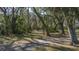 Lush green landscape with mature trees and undergrowth at 6919 64Th E Ave, Palmetto, FL 34221