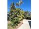 Exterior shot showcasing lush greenery and the driveway of this home, with a focus on tropical palm trees at 103 Oakwood Blvd, Sarasota, FL 34237
