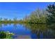 Scenic view of a serene pond with lush greenery and clear blue sky reflection at 114 Tidy Island Blvd, Bradenton, FL 34210