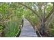 Wooden walkway surrounded by trees and foliage, creating a nature trail at 114 Tidy Island Blvd, Bradenton, FL 34210