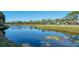 Serene canal view with lush vegetation and golf course at 4410 Weybridge # 91, Sarasota, FL 34235