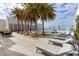 Relaxing pool deck with lounge chairs and palm trees at 540 N Tamiami Trl # 1204, Sarasota, FL 34236