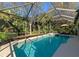 Sparkling pool with a screened enclosure and lush tropical landscaping at 750 Foggy Morn Ln, Bradenton, FL 34212