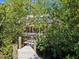 Wooden boardwalk leading through mangroves to waterfront at 1214 Sea Plume Way, Sarasota, FL 34242