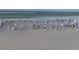 Many birds on the beach near the ocean at 2743 Riverbluff Ct # V94, Sarasota, FL 34231