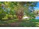 Large backyard with mature tree and grassy area at 3310 Lexington St, Sarasota, FL 34231