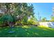 Large backyard with grassy area and mature tree at 3310 Lexington St, Sarasota, FL 34231