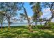 Backyard with lush green lawn, mature trees, and waterfront views at 3350 Old Oak Dr, Sarasota, FL 34239