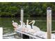 Several pelicans rest on a wooden dock by the water at 10315 Cortez W Rd # 24 F, Bradenton, FL 34210