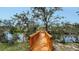 Wooden dock overlooking the tranquil waters and lush trees on a sunny day at 3930 Elysian Woods Ln, Sarasota, FL 34231
