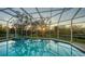 Screened pool, with a view of trees and the sun setting at 3930 Elysian Woods Ln, Sarasota, FL 34231
