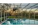 A twilight shot of the luxurious in-ground pool and hot tub, with screen enclosure and serene garden views at 3930 Elysian Woods Ln, Sarasota, FL 34231