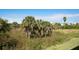 Natural landscape with mature palm trees at 3450 77Th W St # 102, Bradenton, FL 34209