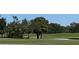 Scenic golf course with lush trees and rolling hills at 6207 Courtside Dr # 23, Bradenton, FL 34210