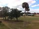 Lush green golf course view with tall palm trees and other native Florida trees at 1211 Capri Isles Blvd # 72, Venice, FL 34292