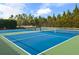 Two well-maintained blue pickleball courts at 224 Corelli Dr, Nokomis, FL 34275
