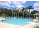 Community pool with lounge chairs and palm trees at 5611 Key West Pl # 5611, Bradenton, FL 34203