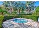 Community hot tub surrounded by lush landscaping and palm trees at 3405 Box Turtle Ter, Parrish, FL 34219