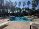Community pool surrounded by lounge chairs and palm trees at 5467 Soapstone Pl # 203, Sarasota, FL 34233